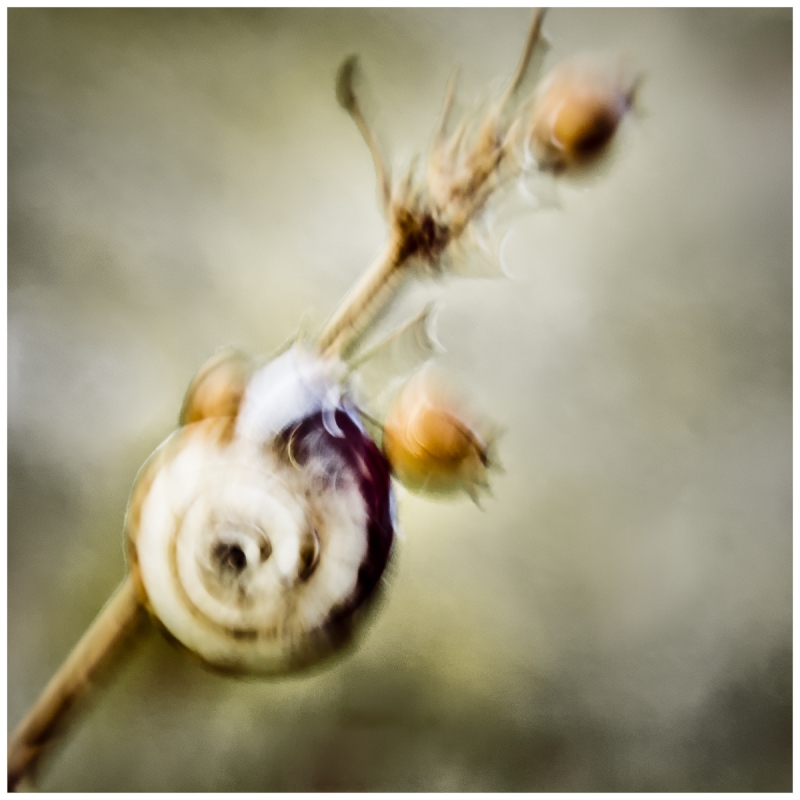 Clicca per l'immagine full size