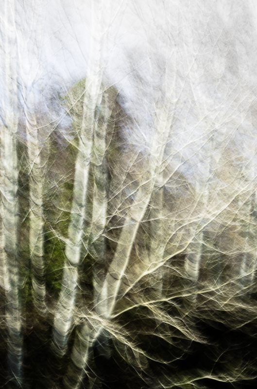 Clicca per l'immagine full size
