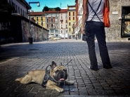 Nome File=Non_c_è_la_faccio_più.jpg
Dimensione File=484KB
Dimensioni=1000x750
Data aggiunta=Lug 29, 2016 Non_c_è_la_faccio_più.jpg