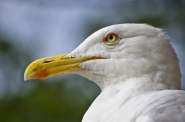 Nome File=Luigia.jpg
Dimensione File=249KB
Dimensioni=1000x662
Data aggiunta=Feb 12, 2021 Luigia.jpg
