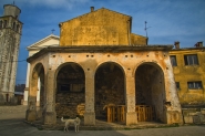 Nome File=c_era_una_volta_un_cane.jpg
Dimensione File=486KB
Dimensioni=1000x667
Data aggiunta=Feb 21, 2024 c_era_una_volta_un_cane.jpg