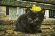 e__autunno.jpg e__autunno.jpg