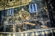 Nome File=gatti.jpg
Dimensione File=576KB
Dimensioni=1000x662
Data aggiunta=Dic 29, 2019 gatti.jpg