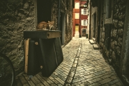 Nome File=il_gatto_di_vicolo_Miracoli.jpg
Dimensione File=489KB
Dimensioni=1000x667
Data aggiunta=Dic 13, 2023 il_gatto_di_vicolo_Miracoli.jpg