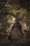 Nome File=nella_foresta_incantata_(_in_the_Enchanted_Forest_).jpg
Dimensione File=515KB
Dimensioni=667x1000
Data aggiunta=Ott 21, 2019 nella_foresta_incantata_(_in_the_Enchanted_Forest_).jpg