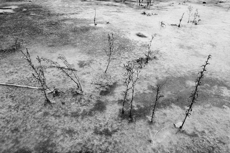 Clicca per l'immagine full size