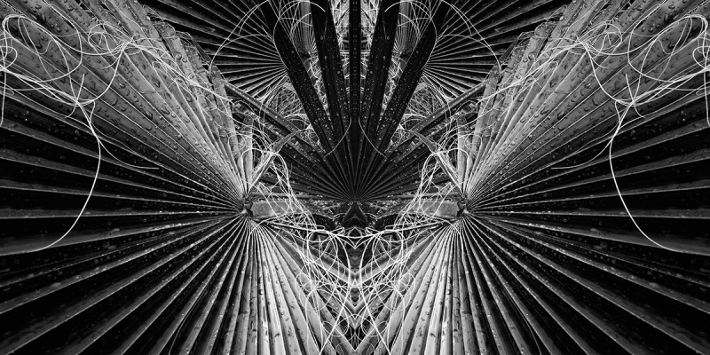 Clicca per l'immagine full size