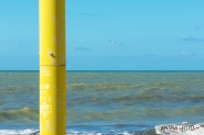 Nome File=Paola_Aucelli_Orizzonte.jpg
Dimensione File=235KB
Dimensioni=1028x685
Data aggiunta=Feb 26, 2016 Paola_Aucelli_Orizzonte.jpg