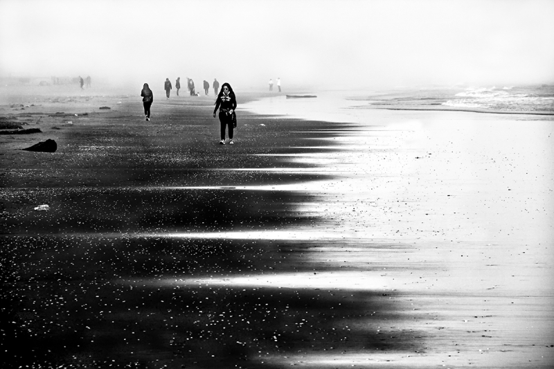 Clicca per l'immagine full size