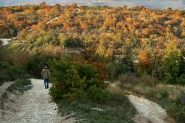 Nome File=Colline_-_autunno_1.JPG
Dimensione File=550KB
Dimensioni=700x467
Data aggiunta=Gen 02, 2021 Colline_-_autunno_1.JPG