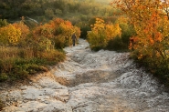Nome File=Colline_-_autunno_2.JPG
Dimensione File=527KB
Dimensioni=800x533
Data aggiunta=Gen 03, 2021 Colline_-_autunno_2.JPG
