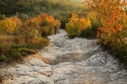 Colline_-_autunno_2.JPG