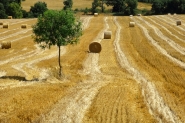 Nome File=Grafismi_toscani.jpg
Dimensione File=537KB
Dimensioni=1050x700
Data aggiunta=Lug 21, 2021 Grafismi_toscani.jpg