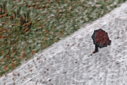 Nome File=Inverno,_impressioni_ridotta.jpg
Dimensione File=578KB
Dimensioni=770x513
Data aggiunta=Feb 02, 2021 Inverno,_impressioni_ridotta.jpg