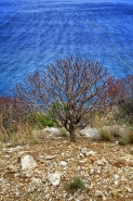 Nome File=Sapore_di_mare.jpg
Dimensione File=585KB
Dimensioni=700x1050
Data aggiunta=Giu 28, 2021 Sapore_di_mare.jpg