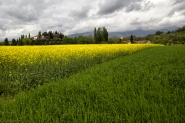 Nome File=Spring_time.jpg
Dimensione File=573KB
Dimensioni=959x639
Data aggiunta=Mag 02, 2021 Spring_time.jpg