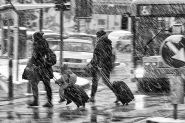Nome File=Trasporti_urbani.jpg
Dimensione File=578KB
Dimensioni=1050x700
Data aggiunta=Gen 13, 2021 Trasporti_urbani.jpg