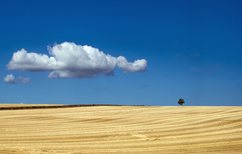 Clicca per l'immagine full size