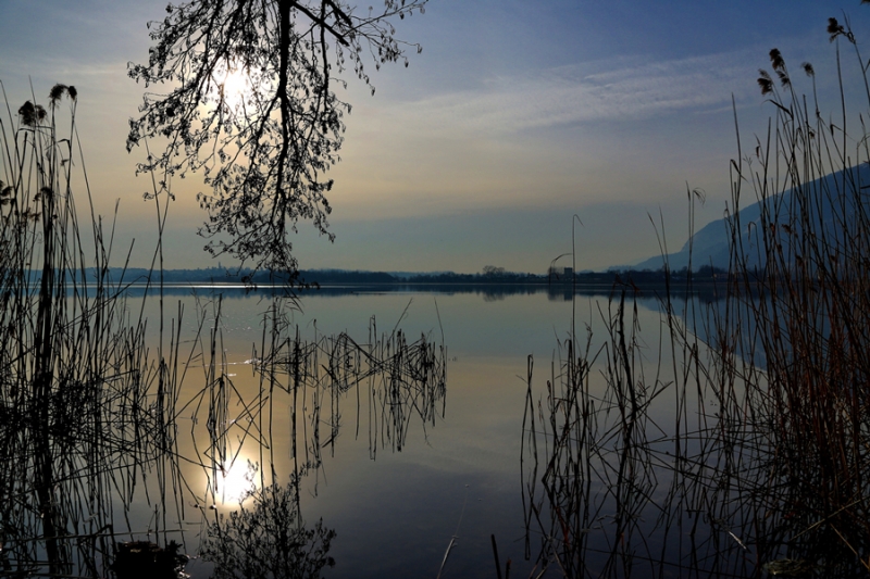 Clicca per l'immagine full size