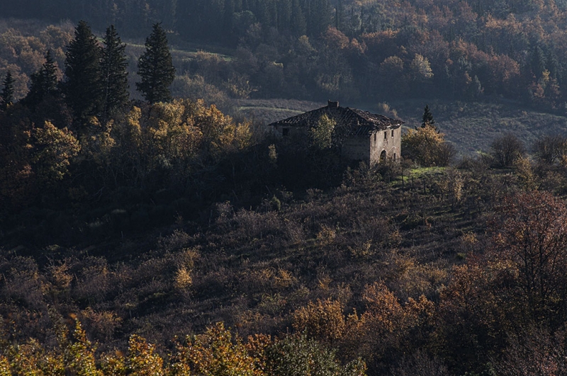 Clicca per l'immagine full size
