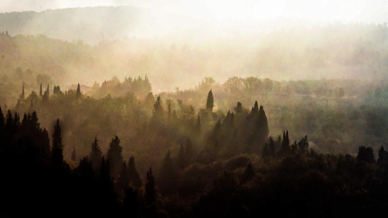 Clicca per l'immagine full size