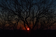 Nome File=Tramonto.jpg
Dimensione File=575KB
Dimensioni=850x567
Data aggiunta=Gen 18, 2020 Tramonto.jpg