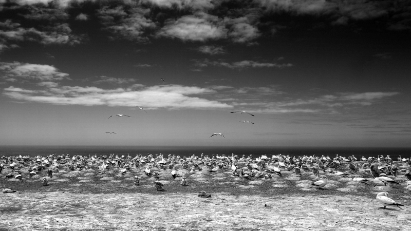 Clicca per l'immagine full size