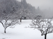 Nome File=elemento_neve.jpg
Dimensione File=372KB
Dimensioni=1200x900
Data aggiunta=Gen 15, 2014 elemento_neve.jpg