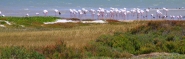 Nome File=langebaan3.jpg
Dimensione File=206KB
Dimensioni=1200x383
Data aggiunta=Mar 01, 2014 langebaan3.jpg