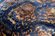 trame_animalier2.jpg trame_animalier2.jpg