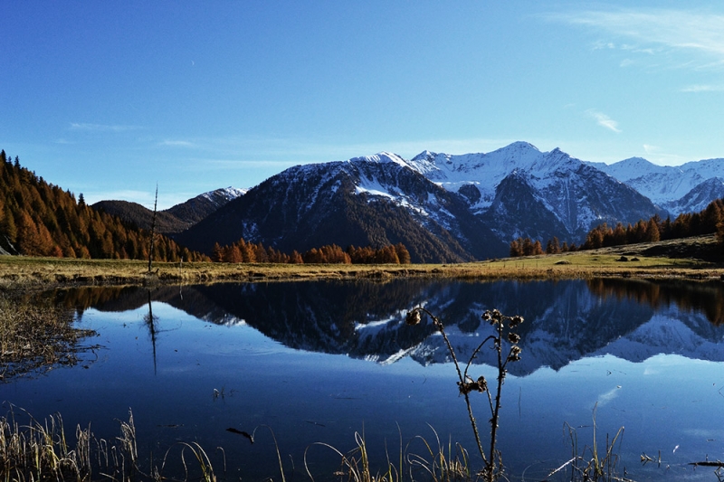Clicca per l'immagine full size