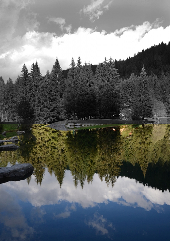 Clicca per l'immagine full size