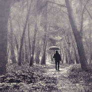 Nome File=the_man_with_the_umbrella.jpg
Dimensione File=336KB
Dimensioni=960x960
Data aggiunta=Mag 03, 2013 the_man_with_the_umbrella.jpg