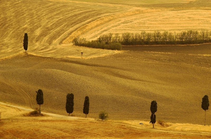 Clicca per l'immagine full size