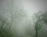 Nome File=MONTECASTAGNETO_2013_213-nebbia-1.jpg
Dimensione File=555KB
Dimensioni=1024x823
Data aggiunta=Mag 05, 2014 MONTECASTAGNETO_2013_213-nebbia-1.jpg