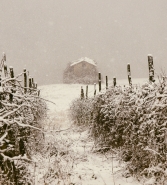 Nome File=nevicata.jpg
Dimensione File=543KB
Dimensioni=725x800
Data aggiunta=Dic 05, 2014 nevicata.jpg