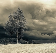 temporale.jpg temporale.jpg