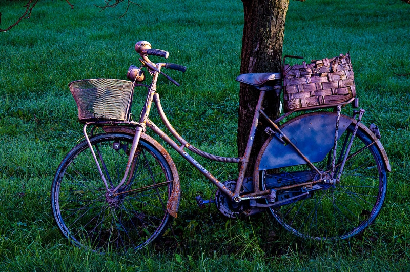 Clicca per l'immagine full size