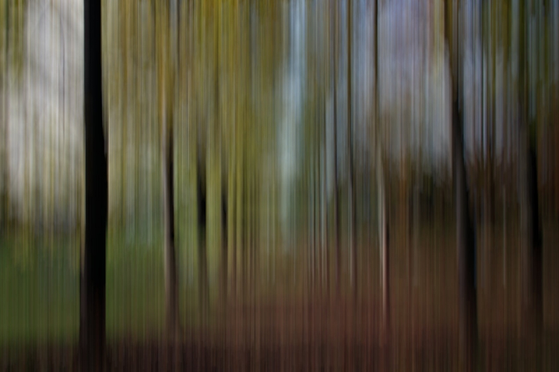 Clicca per l'immagine full size
