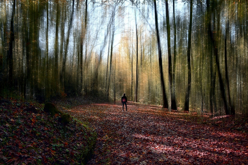Clicca per l'immagine full size