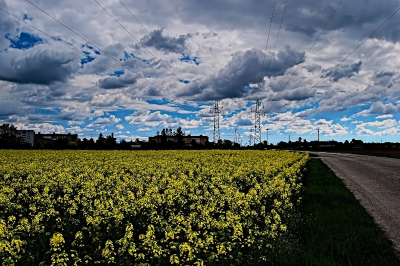 Clicca per l'immagine full size