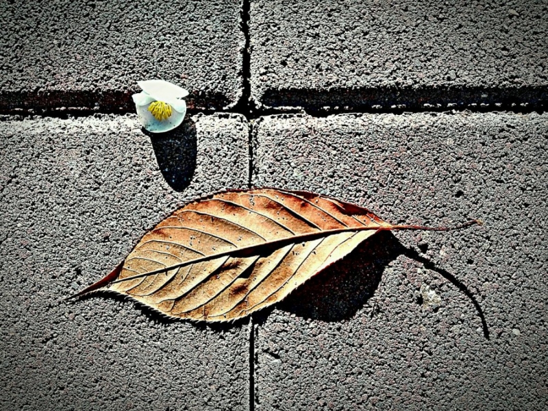 Clicca per l'immagine full size