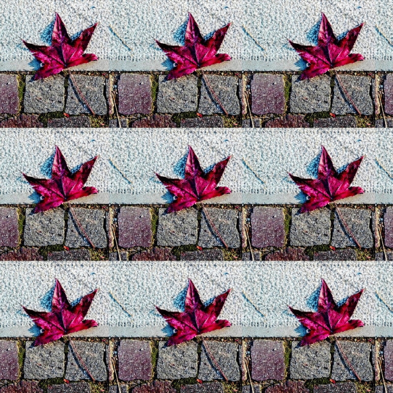 Clicca per l'immagine full size