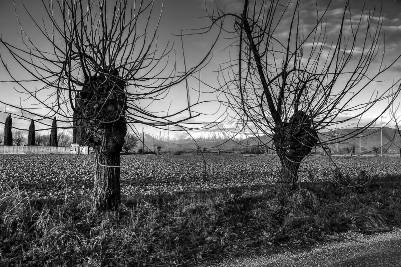 Clicca per l'immagine full size