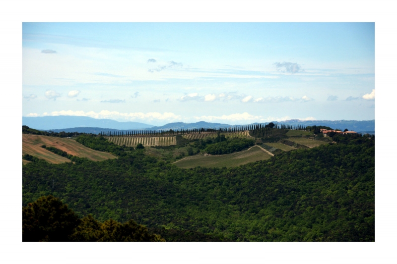 Clicca per l'immagine full size