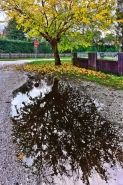 Nome File=Autunno_20191123_120004-02_800x1200.jpg
Dimensione File=568KB
Dimensioni=800x1200
Data aggiunta=Nov 24, 2019 Autunno_20191123_120004-02_800x1200.jpg
