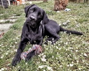 Nome File=Boss_20190412_074731-01_1200x960.jpg
Dimensione File=559KB
Dimensioni=1200x960
Data aggiunta=Apr 12, 2019 Boss_20190412_074731-01_1200x960.jpg
