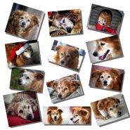Nome File=CiaoTommy_20180805_1200x1200.jpg
Dimensione File=316KB
Dimensioni=1200x1200
Data aggiunta=Ago 07, 2018 CiaoTommy_20180805_1200x1200.jpg
