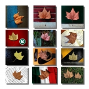 Nome File=Foglia_StoryBoard_1200x1200.jpg
Dimensione File=392KB
Dimensioni=1200x1200
Data aggiunta=Feb 22, 2016 Foglia_StoryBoard_1200x1200.jpg