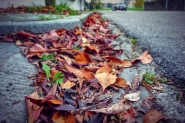 Nome File=Foglie_P1150156_hdr_mode_1_TiltShift_Vig_1200x800.jpg
Dimensione File=289KB
Dimensioni=1200x800
Data aggiunta=Nov 24, 2017 Foglie_P1150156_hdr_mode_1_TiltShift_Vig_1200x800.jpg